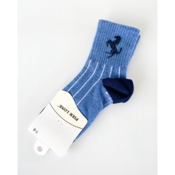Шкарпетки для хлопчиків тм "Pier Lone" Коник блакитні