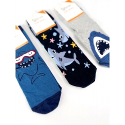 Комплект носков для мальчиков тм"Bross" Shark (комплект 3 шт)