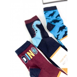 Шкарпетки для хлопчиків тм"Bross" Дино  (набір 3 шт)
