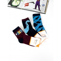 Комплект носков для мальчиков тм"Bross" Дино  (комплект 3 шт)
