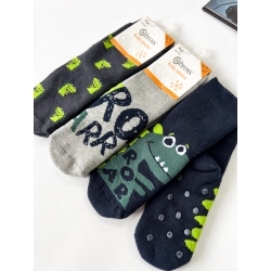 Махрові дитячі шкарпетки (набір 3 шт) для хлопчиків тм "Bross" Дино