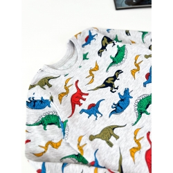 Дитяча піжама для хлопчиків тм "Okes.brand" Динозаври