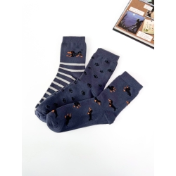 Комплект носков для мальчиков подростков тм"Twinsocks" Такса (комплект 3 шт)