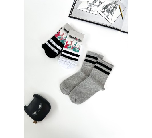 Комплект носков для мальчиков (комплект 3 шт) тм Twinsocks  полоска база