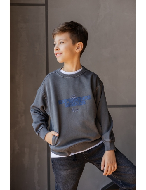Свитшот ( кофта )  для мальчика Zara серый