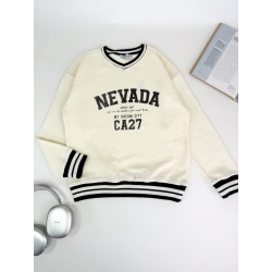 Світшот ( кофта ) для хлопчика Jna Nevada