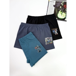 Труси - боксери для підлітків ТМ " Baykar " Робот