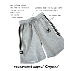 Шорты для мальчика подростковай полоски серые