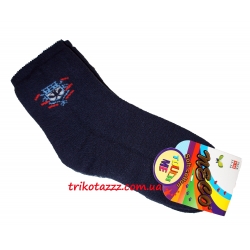 Теплі махрові шкарпетки для хлопчиків сині