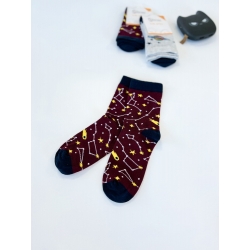 Шкарпетки для хлопчиків тм "Bross" Сузірʼя